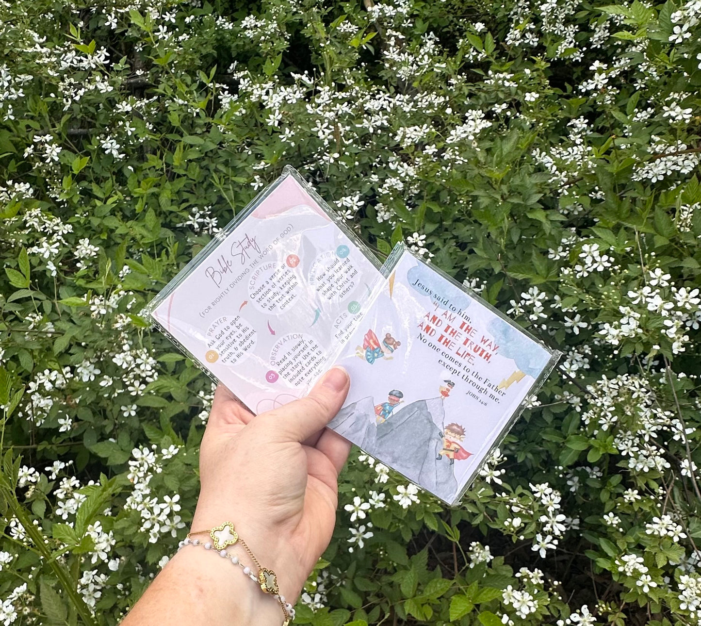 Bible Study Cards