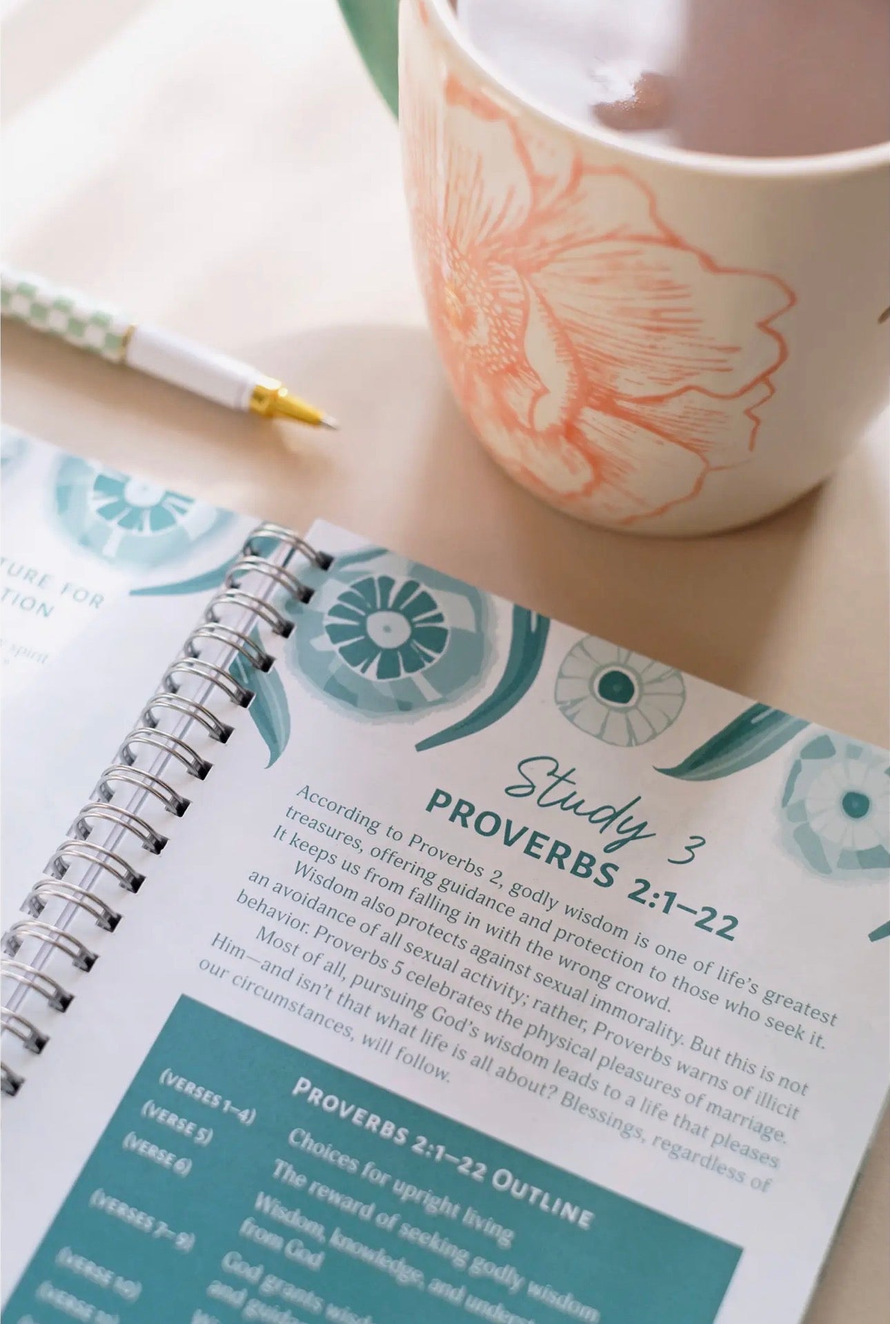 Preorder- The Bible Study Collective