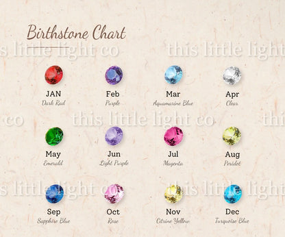 Preorder: Personalized Birthstone Jewelry