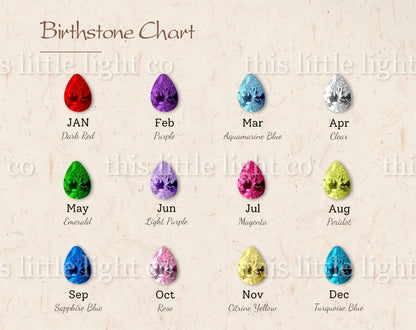 Preorder: Birthstone Ring