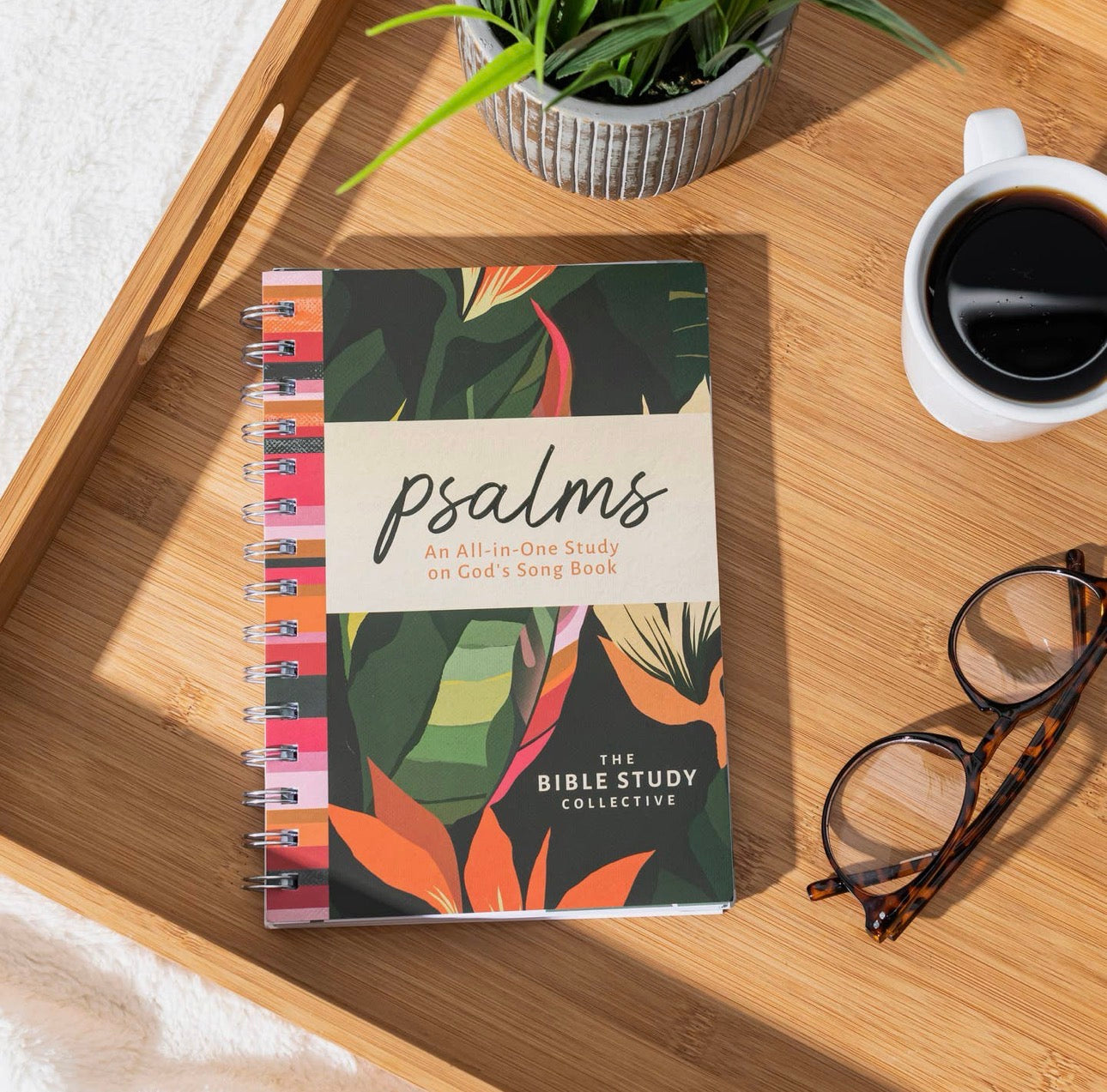 Preorder- The Bible Study Collective