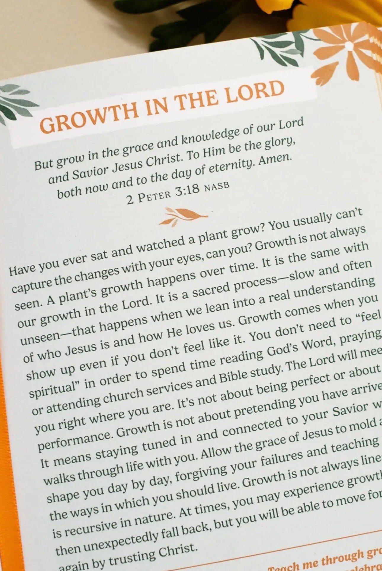 preorder- unfiltered devotions